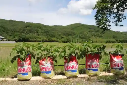 高司神社〜むすびの神の鎮まる社〜の授与品その他