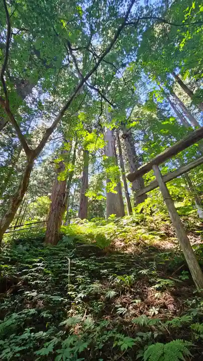 戸隠神社宝光社(長野県)