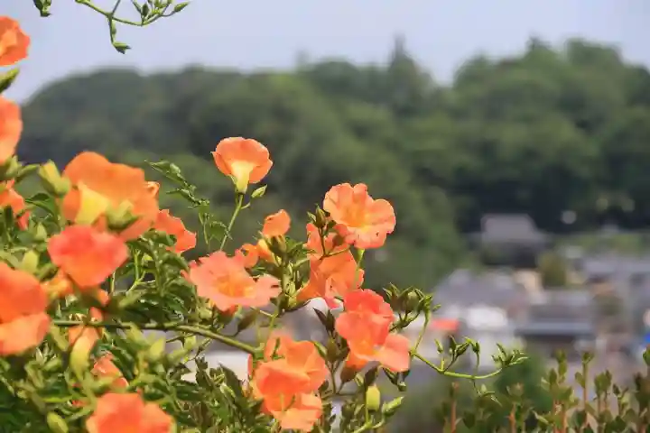 三春大神宮の景色