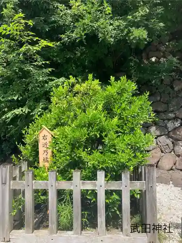 武田神社(山梨県)