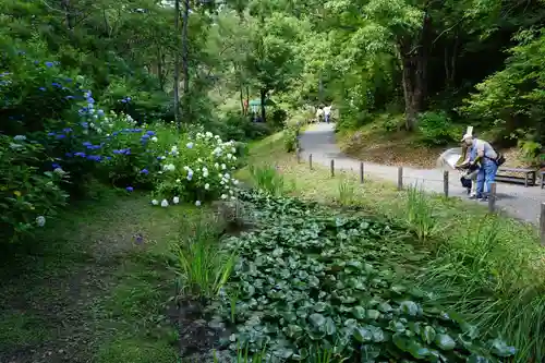 救馬溪観音の庭園