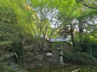 青蓮院門跡(京都府)