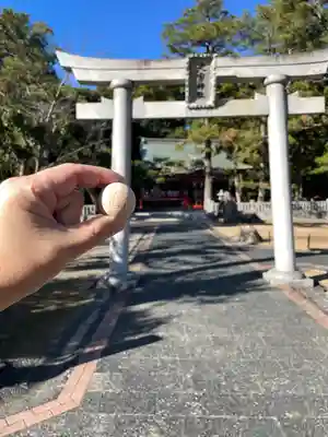 桜ヶ池池宮神社(静岡県)
