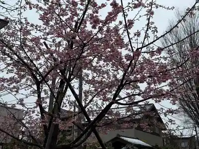 武蔵一宮氷川神社(埼玉県)