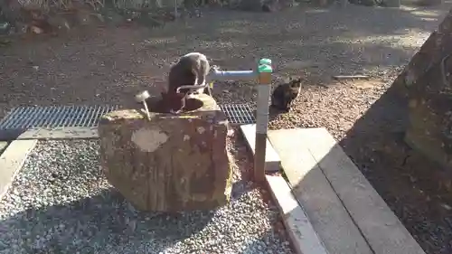 熊野那智神社の手水舎