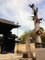 境妙寺(東京都)