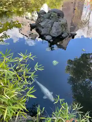 善知鳥神社(青森県)