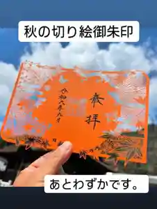 手力雄神社(岐阜県)(2024年11月03日(日) 10時15分48秒投稿)