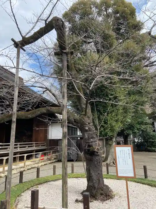靖國神社(東京都)