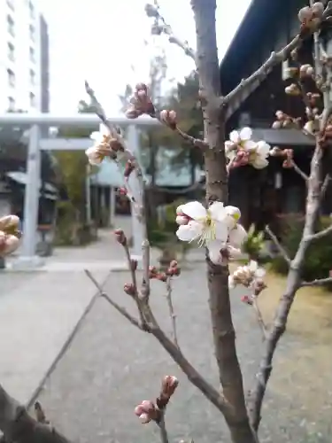 高知大神宮の自然