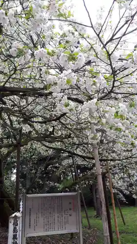 伊佐須美神社の自然