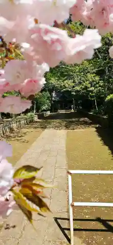 松山神社の{uncategorized: "未分類", other: "その他", undefined: "問題あり", building: "その他建物", grave: "お墓", sacred_gate: "鳥居", guardian: "狛犬", statue: "像", buddha: "仏像", history: "歴史", nature: "自然", garden: "庭園", animal: "動物", pagoda: "塔", temizu: "手水舎", mountain_gate: "山門・神門", sanctuary: "本殿・本堂", subordinate: "末社・摂社", art: "芸術", scenery: "景色", jizo: "地蔵", ema: "絵馬", goshuin: "御朱印", omikuji: "おみくじ", items: "授与品その他", amulet: "お守り", goshuincho: "御朱印帳", eats: "食事", festival: "お祭り", votive_dance: "神楽", shichigosan: "七五三参", wedding: "結婚式", experience: "体験その他", initially: "初詣", around: "周辺", anti_infection: "感染症対策"}