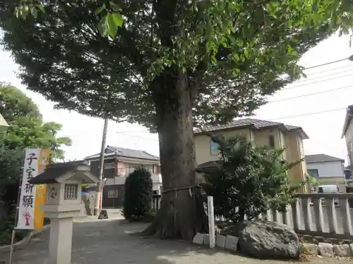 伊勢原大神宮(神奈川県)