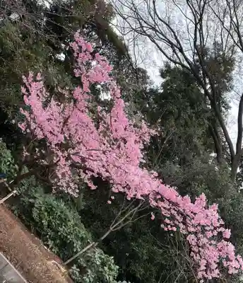 靖國神社(東京都)