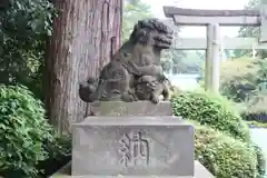 新橋浅間神社の狛犬