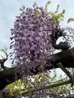 西方山極楽寺(岐阜県)