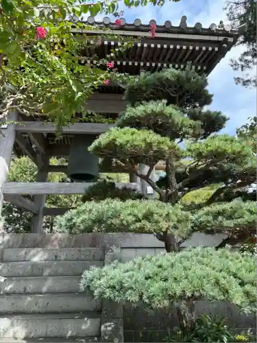 長谷寺(神奈川県)