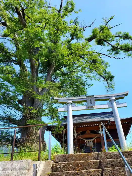 二階堂神社の建物その他