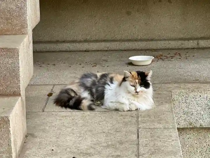 小金八坂神社の動物