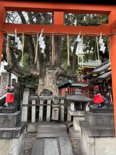 満足稲荷神社の{uncategorized: "未分類", other: "その他", undefined: "問題あり", building: "その他建物", grave: "お墓", sacred_gate: "鳥居", guardian: "狛犬", statue: "像", buddha: "仏像", history: "歴史", nature: "自然", garden: "庭園", animal: "動物", pagoda: "塔", temizu: "手水舎", mountain_gate: "山門・神門", sanctuary: "本殿・本堂", subordinate: "末社・摂社", art: "芸術", scenery: "景色", jizo: "地蔵", ema: "絵馬", goshuin: "御朱印", omikuji: "おみくじ", items: "授与品その他", amulet: "お守り", goshuincho: "御朱印帳", eats: "食事", festival: "お祭り", votive_dance: "神楽", shichigosan: "七五三参", wedding: "結婚式", experience: "体験その他", initially: "初詣", around: "周辺", anti_infection: "感染症対策"}