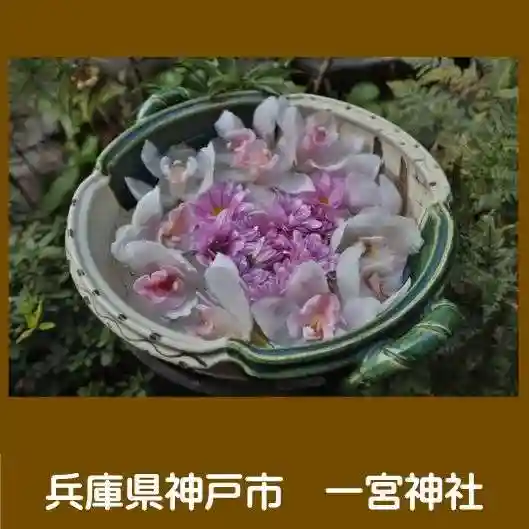 一宮神社の手水舎