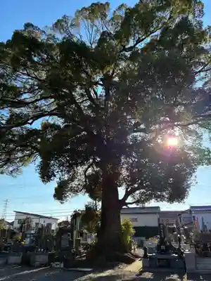 延命寺(千葉県)