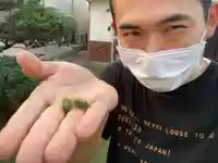 蓮久寺(千葉県)