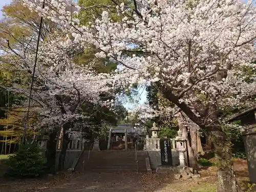 大平八幡宮の自然