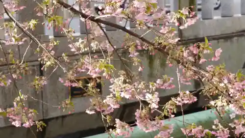 晴明神社の自然