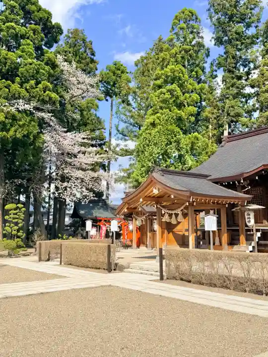 諏訪神社の{uncategorized: "未分類", other: "その他", undefined: "問題あり", building: "その他建物", grave: "お墓", sacred_gate: "鳥居", guardian: "狛犬", statue: "像", buddha: "仏像", history: "歴史", nature: "自然", garden: "庭園", animal: "動物", pagoda: "塔", temizu: "手水舎", mountain_gate: "山門・神門", sanctuary: "本殿・本堂", subordinate: "末社・摂社", art: "芸術", scenery: "景色", jizo: "地蔵", ema: "絵馬", goshuin: "御朱印", omikuji: "おみくじ", items: "授与品その他", amulet: "お守り", goshuincho: "御朱印帳", eats: "食事", festival: "お祭り", votive_dance: "神楽", shichigosan: "七五三参", wedding: "結婚式", experience: "体験その他", initially: "初詣", around: "周辺", anti_infection: "感染症対策"}