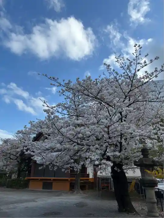 稲毛神社(神奈川県)