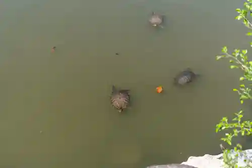 吉備津彦神社(岡山県)