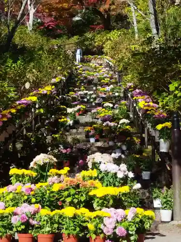 長谷寺(奈良県)