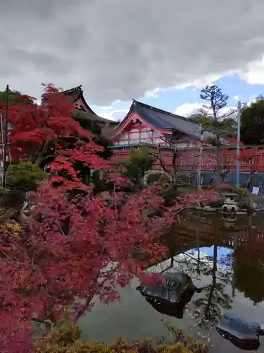 津島神社の庭園