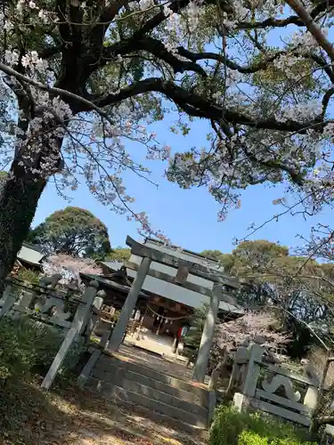 宮尾八幡宮の鳥居