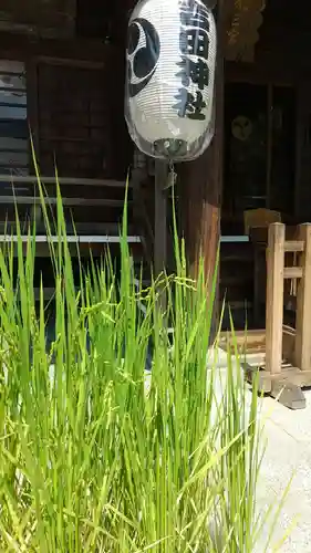 常陸第三宮　吉田神社(茨城県)