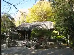 高徳院(神奈川県)