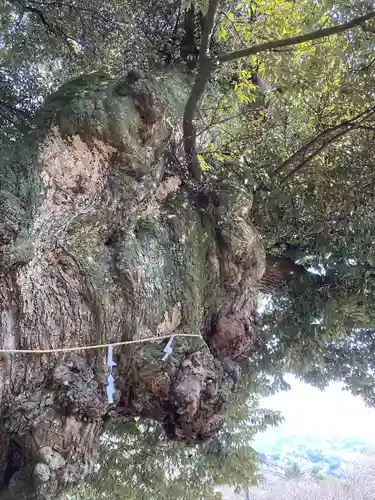 楽法寺（雨引観音）(茨城県)