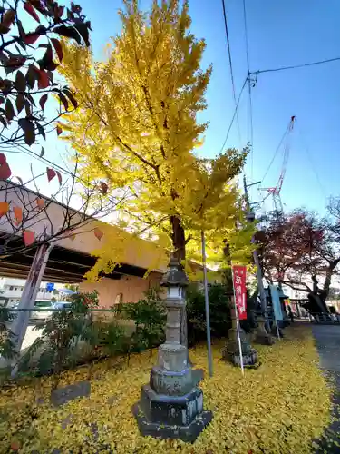 阿邪訶根神社(福島県)