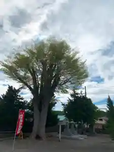 仁玄寺の自然(2021年05月17日(月) 23時59分48秒投稿)