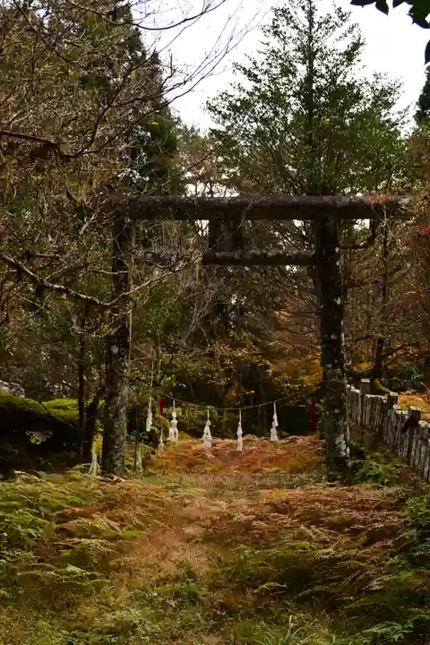 高峯神社(高知県)
