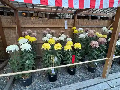 諏訪大社下社秋宮(長野県)