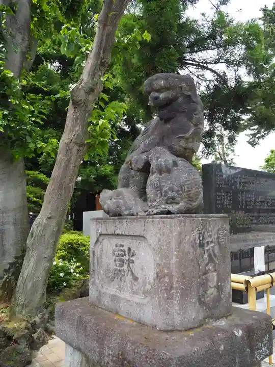 中野沼袋氷川神社の狛犬