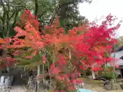 伊勢の国 四天王寺の自然