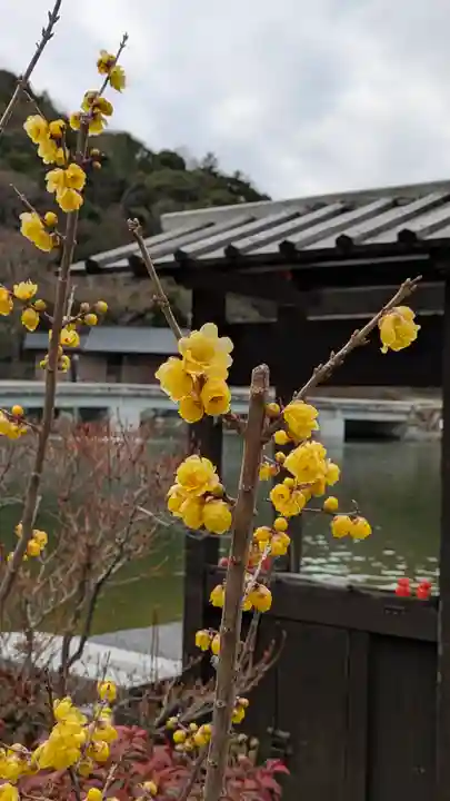 勝尾寺(大阪府)
