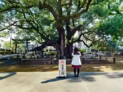諫早神社(九州総守護 四面宮)の自然