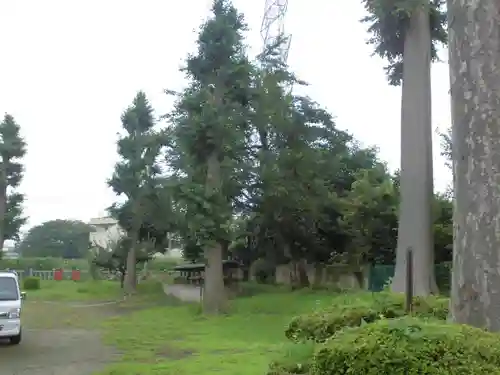 三島神社の自然