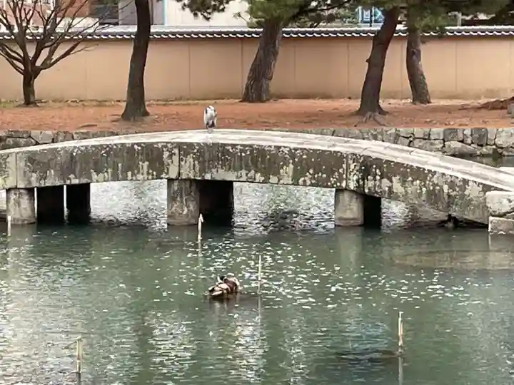 相国寺(相国承天禅寺)(京都府)