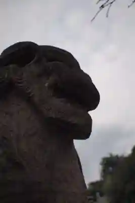 妻沼聖天山歓喜院の狛犬