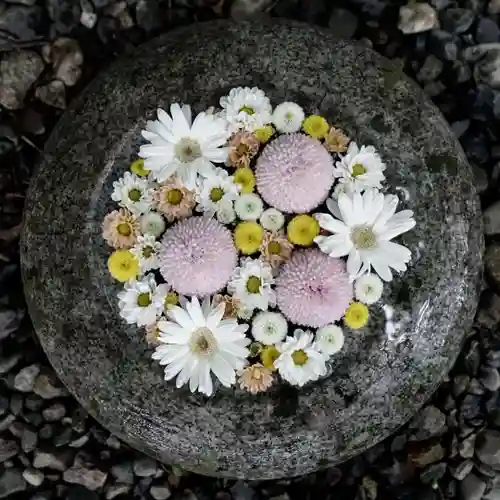 帯廣神社の手水舎